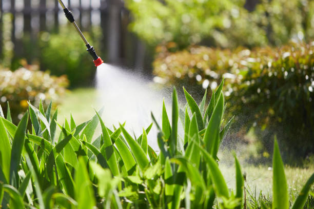 24/7 Emergency Ant Control experts in Lake Odessa, MI