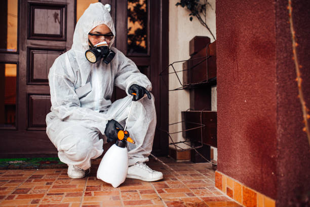 Reliable Ant Control contractor in Lake Odessa, MI by Show Me Pest Control